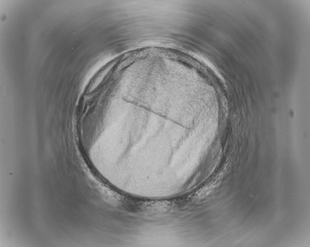 X0000070210991200606161637