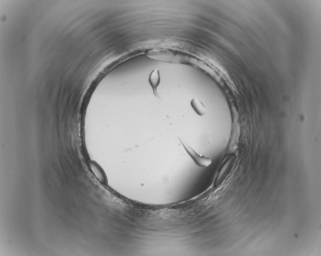 X0000070210992200606161637