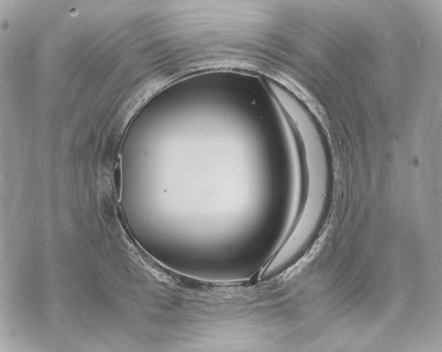 X0000070210993200606161637