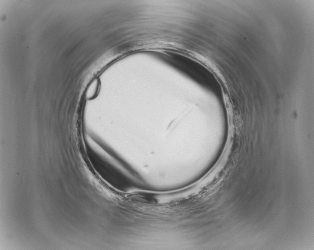 X0000070210995200606161637