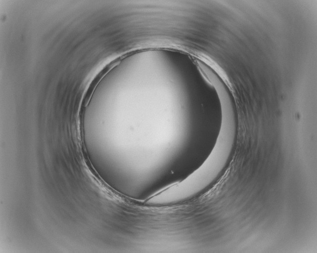 X0000070210996200606161637