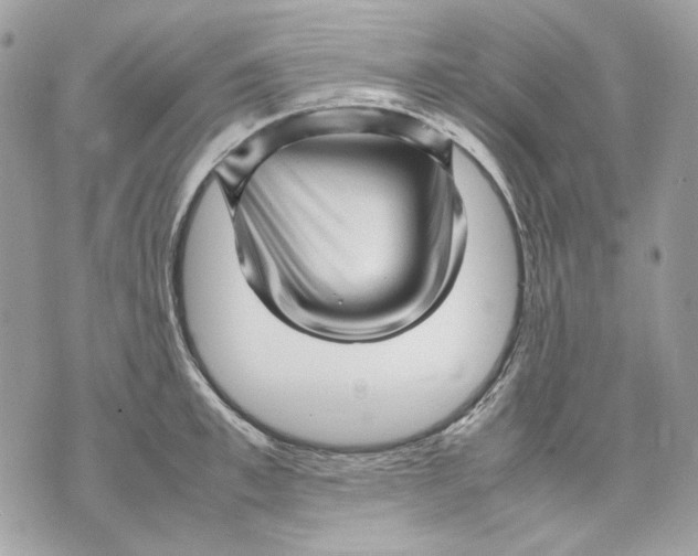 X0000070210997200606161637