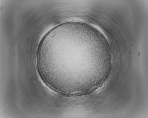 X0000070210999200606161637