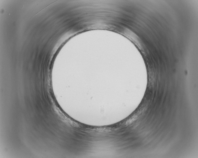 X0000070211000200606161637