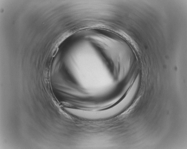 X0000070211001200606161637