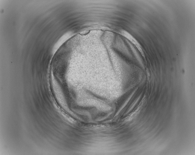 X0000070211002200606161637