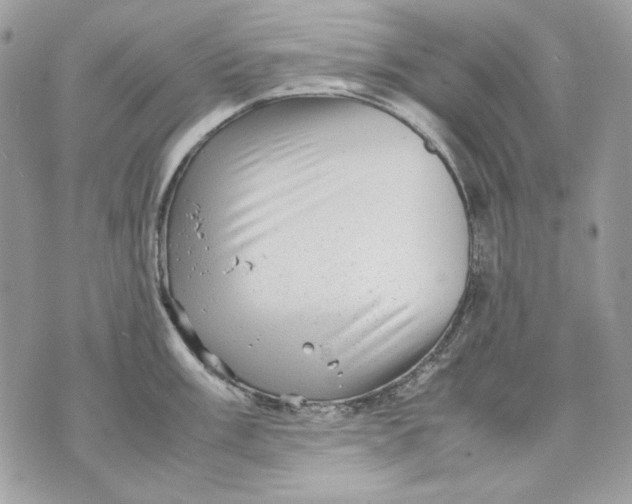 X0000070211003200606161637