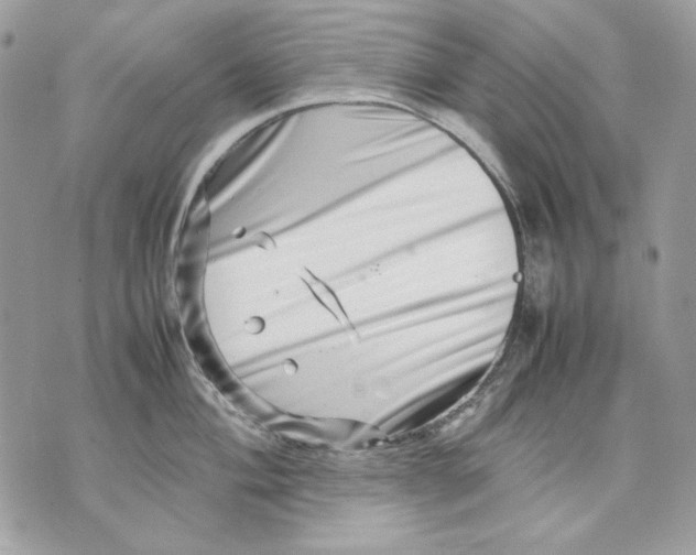 X0000070211004200606161637