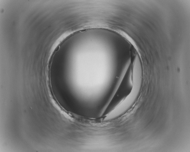 X0000070211005200606161637