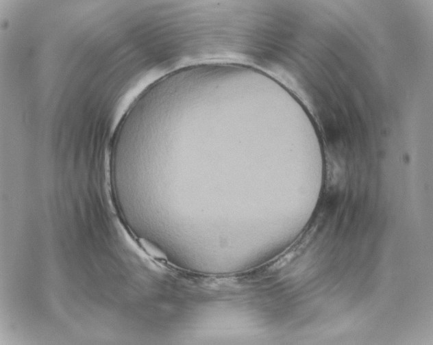 X0000070211006200606161637