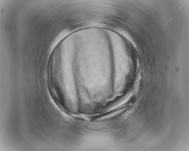 X0000070211007200606161637