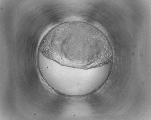 X0000070211008200606161637