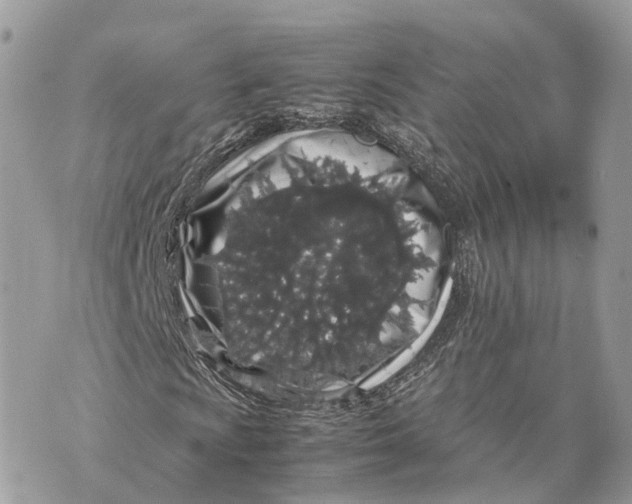 X0000070211009200606161636