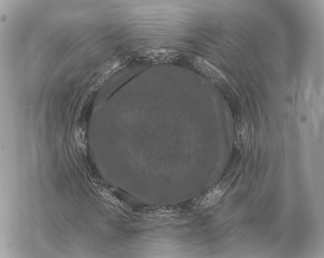 X0000070211010200606161636