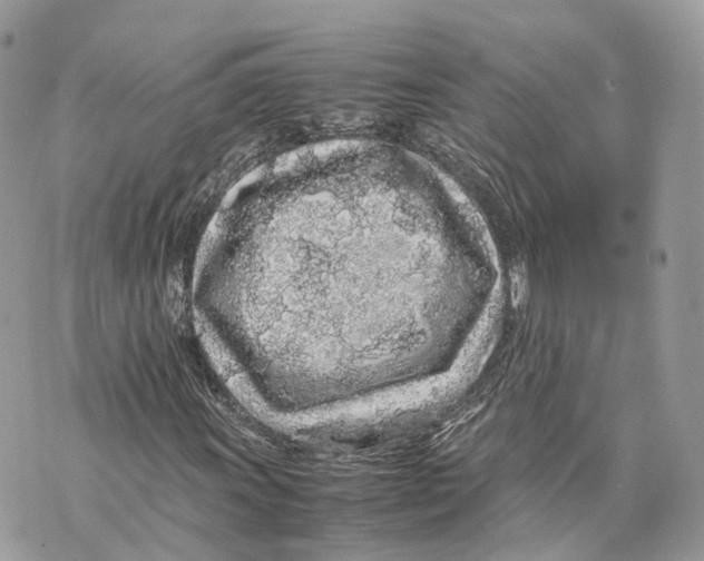 X0000070211011200606161636