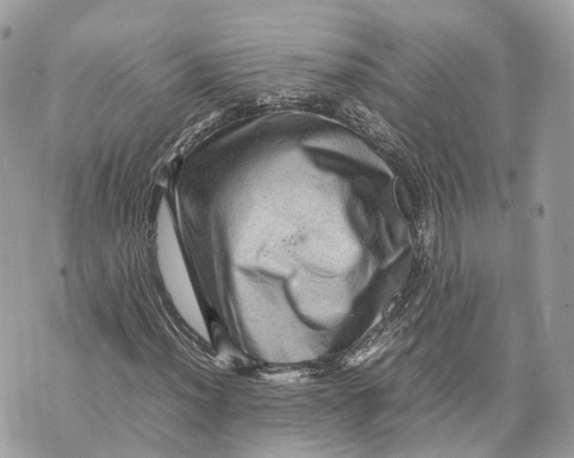 X0000070211012200606161636