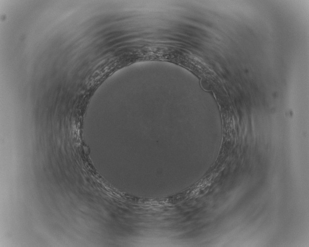 X0000070211013200606161636