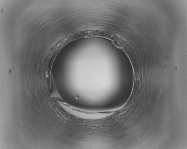 X0000070211014200606161636