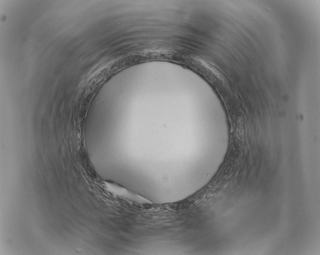 X0000070211015200606161636