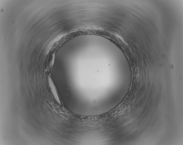 X0000070211016200606161636