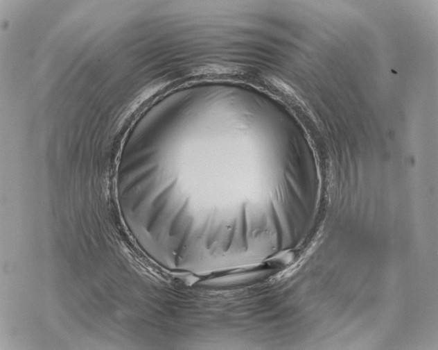 X0000070211017200606161636