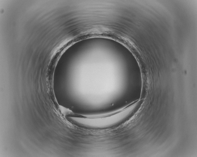 X0000070211018200606161636