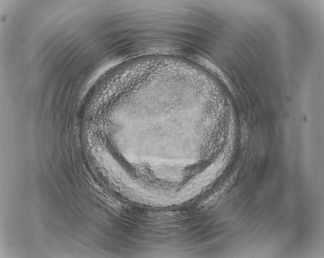 X0000070211019200606161636