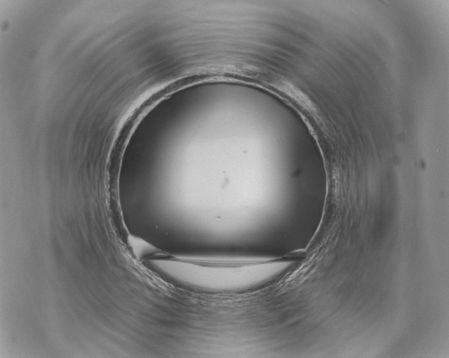 X0000070211020200606161636