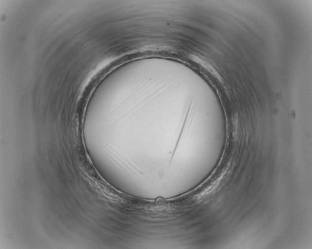 X0000070211021200606161636