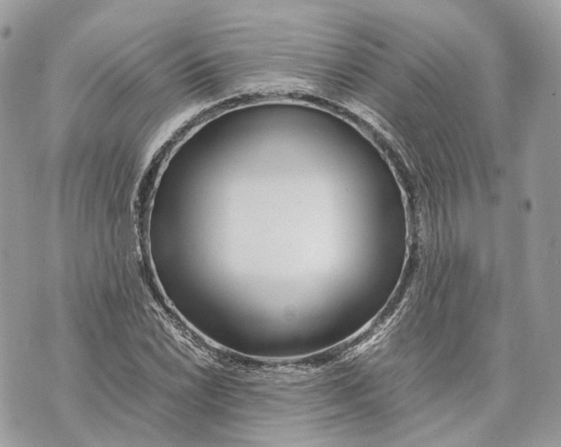 X0000070211022200606161636