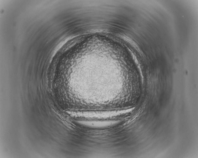 X0000070211023200606161636