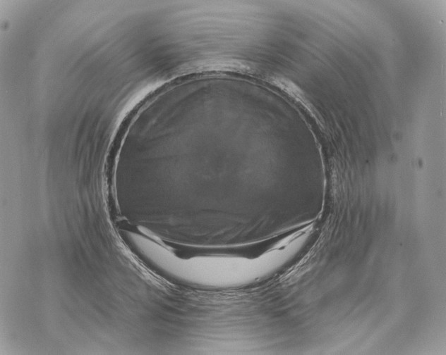 X0000070211024200606161636