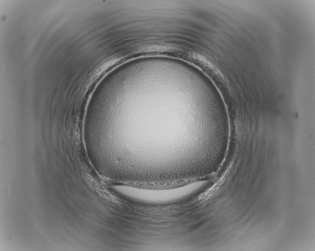 X0000070211025200606161636