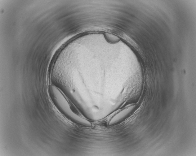 X0000070211028200606161636