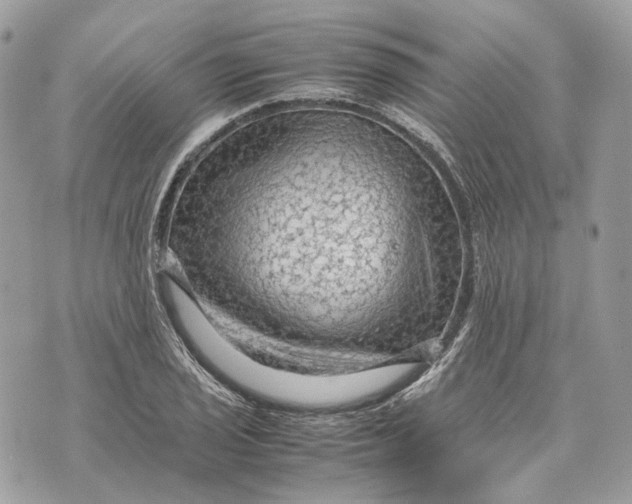 X0000070211029200606161636