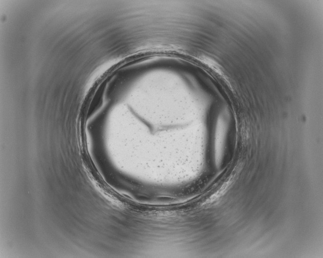 X0000070211030200606161636