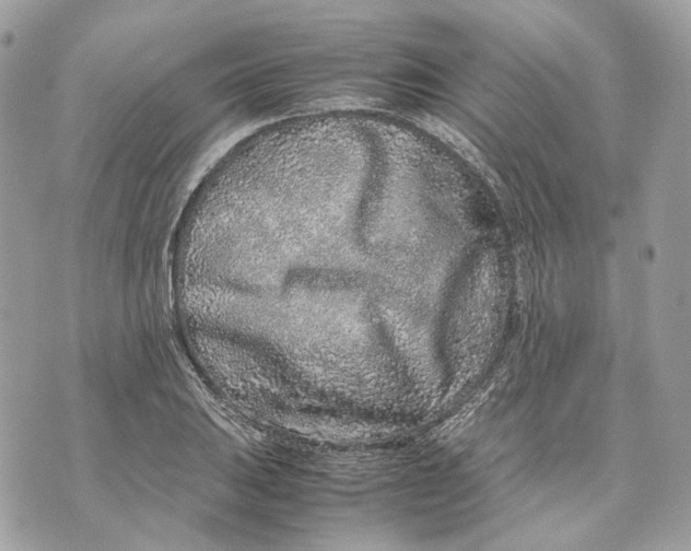 X0000070211031200606161636