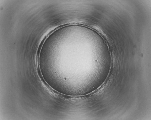 X0000070211032200606161636