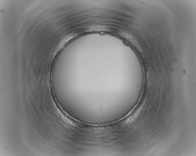 X0000070211033200606161636