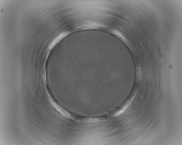 X0000070211034200606161636