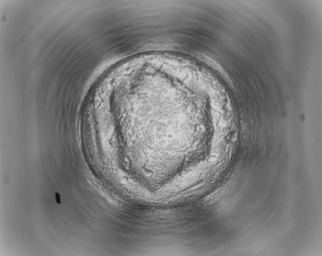 X0000070211035200606161636