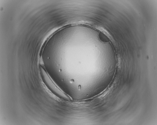 X0000070211036200606161636