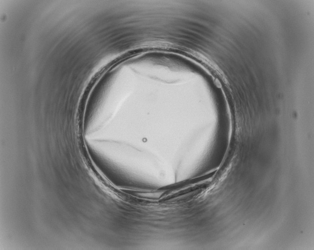 X0000070211037200606161636