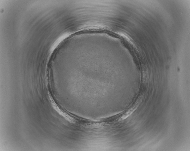 X0000070211038200606161636