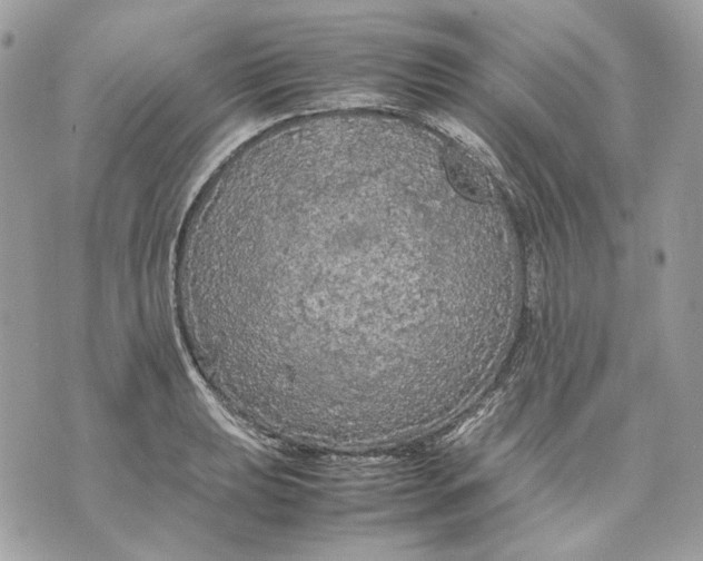 X0000070211039200606161636