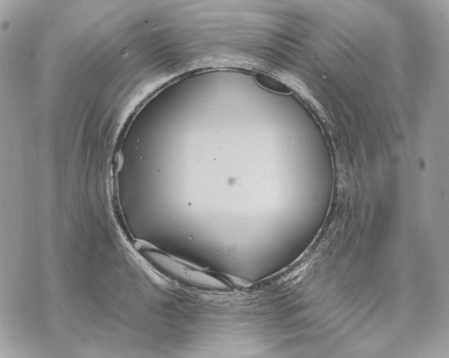 X0000070211040200606161636