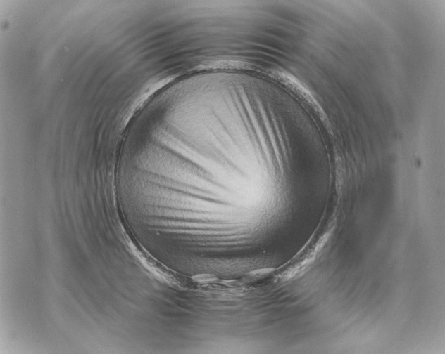 X0000070211041200606161636