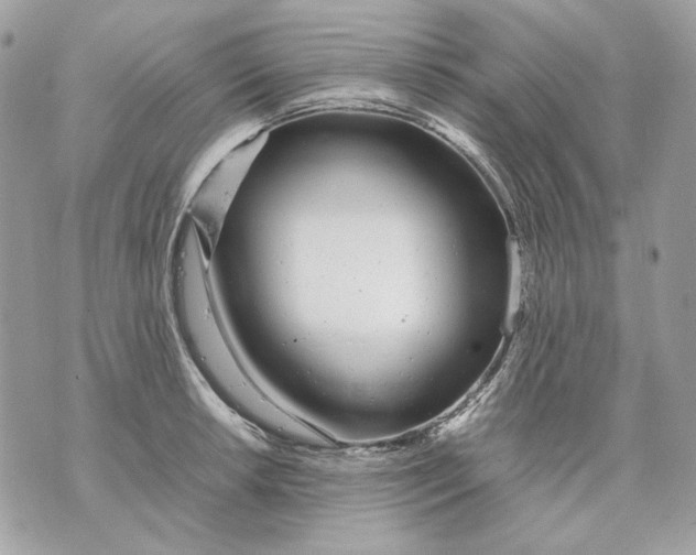 X0000070211042200606161636