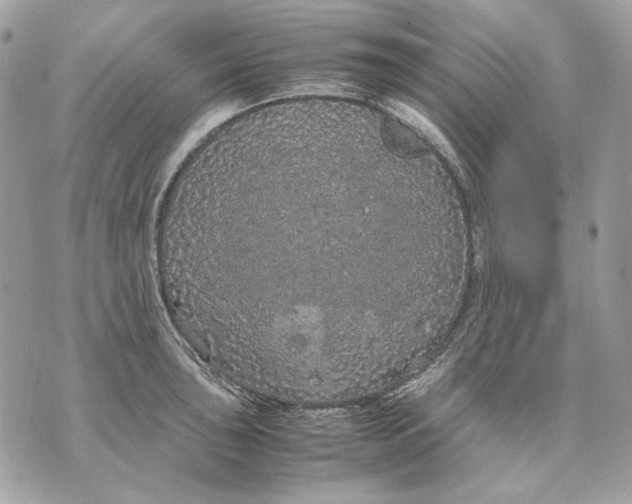 X0000070211043200606161636