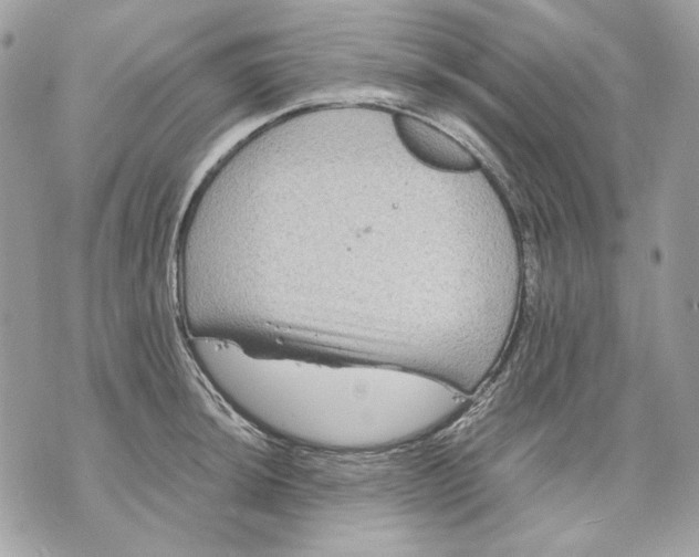 X0000070211044200606161636